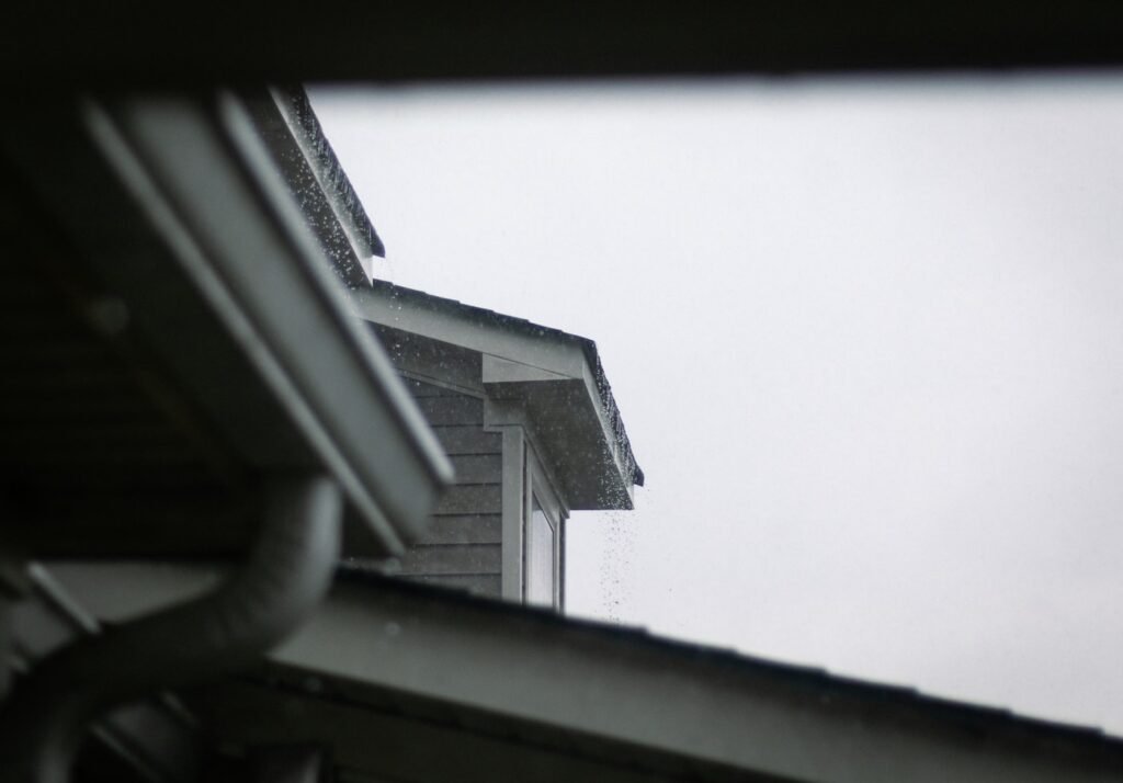 Exterior gutter and roofline cleaning